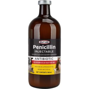 PENICILLIN G 500ML