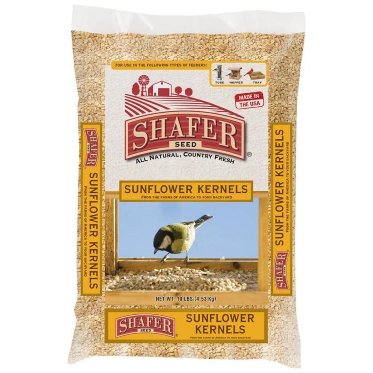 Black Oil Sunflower Seeds 50 LB Huber's Animal Health