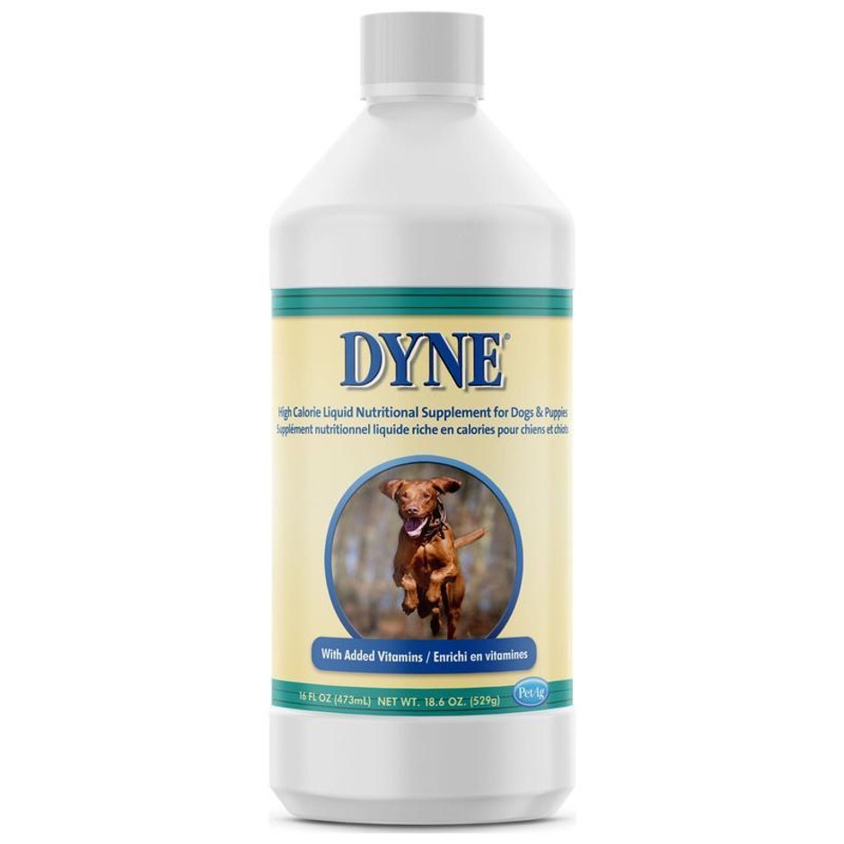 DYNE Nutritional Supplement For Dog 16 OZ