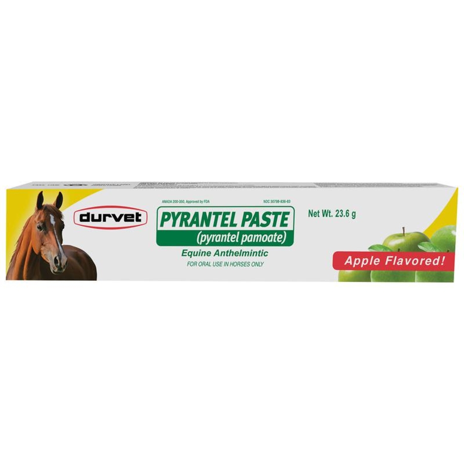 Pyrantel Paste 23.6 GM Horse Wormer Huber's Animal Health