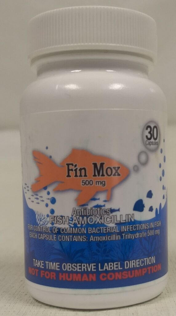 Fish Mox Forte 500mg 30ct Amoxicillin Capsules for Fish