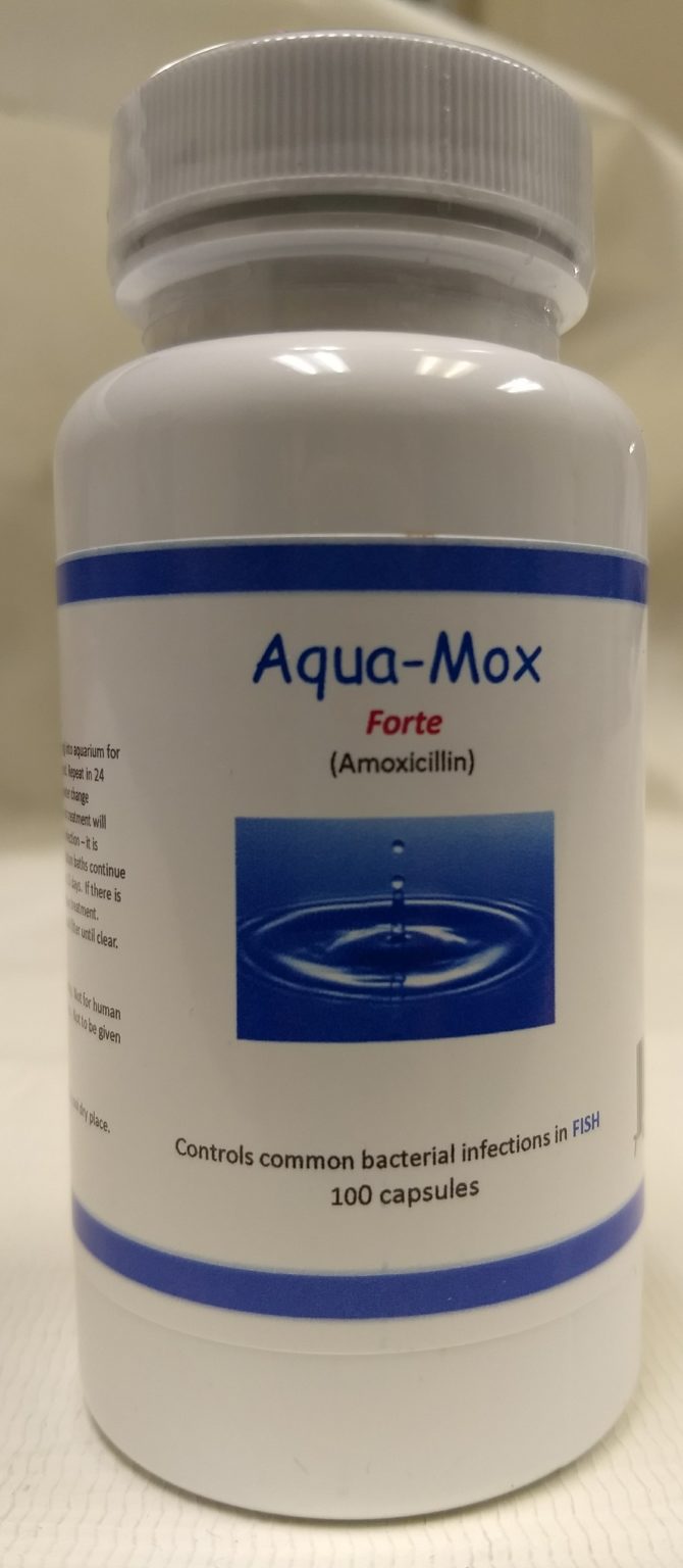 Fish Mox Forte Amoxicillin 500MG 100 CT Huber's Animal Health