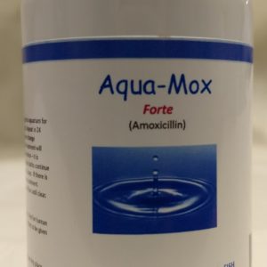 FISH MOX FORTE AMOXICILLIN 500MG 100 CT