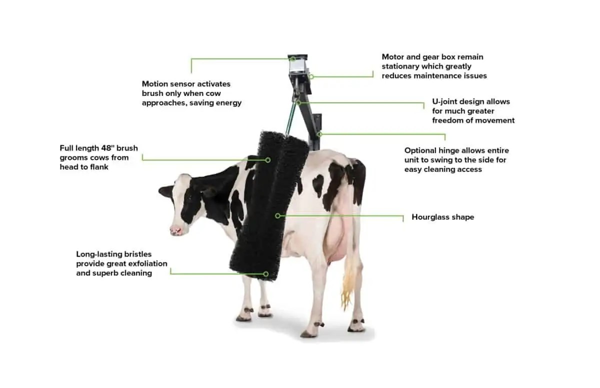 Rotating Comfort Brush 120 V Future Cow