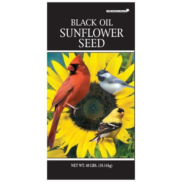 Black Oil Sunflower Seeds 40 LB Huber's Animal Health