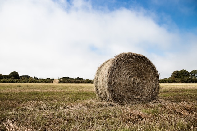 The Essential Guide to Hay Bale Management for Healthy Livestock