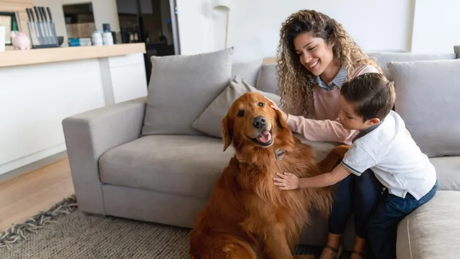 Exploring the Benefits of Probiotics for Animal Gut Health