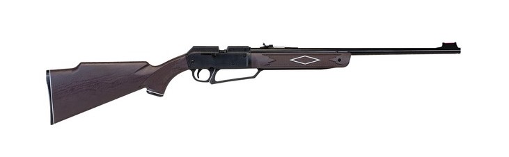 Pneumatic BB / Pellet Gun 880