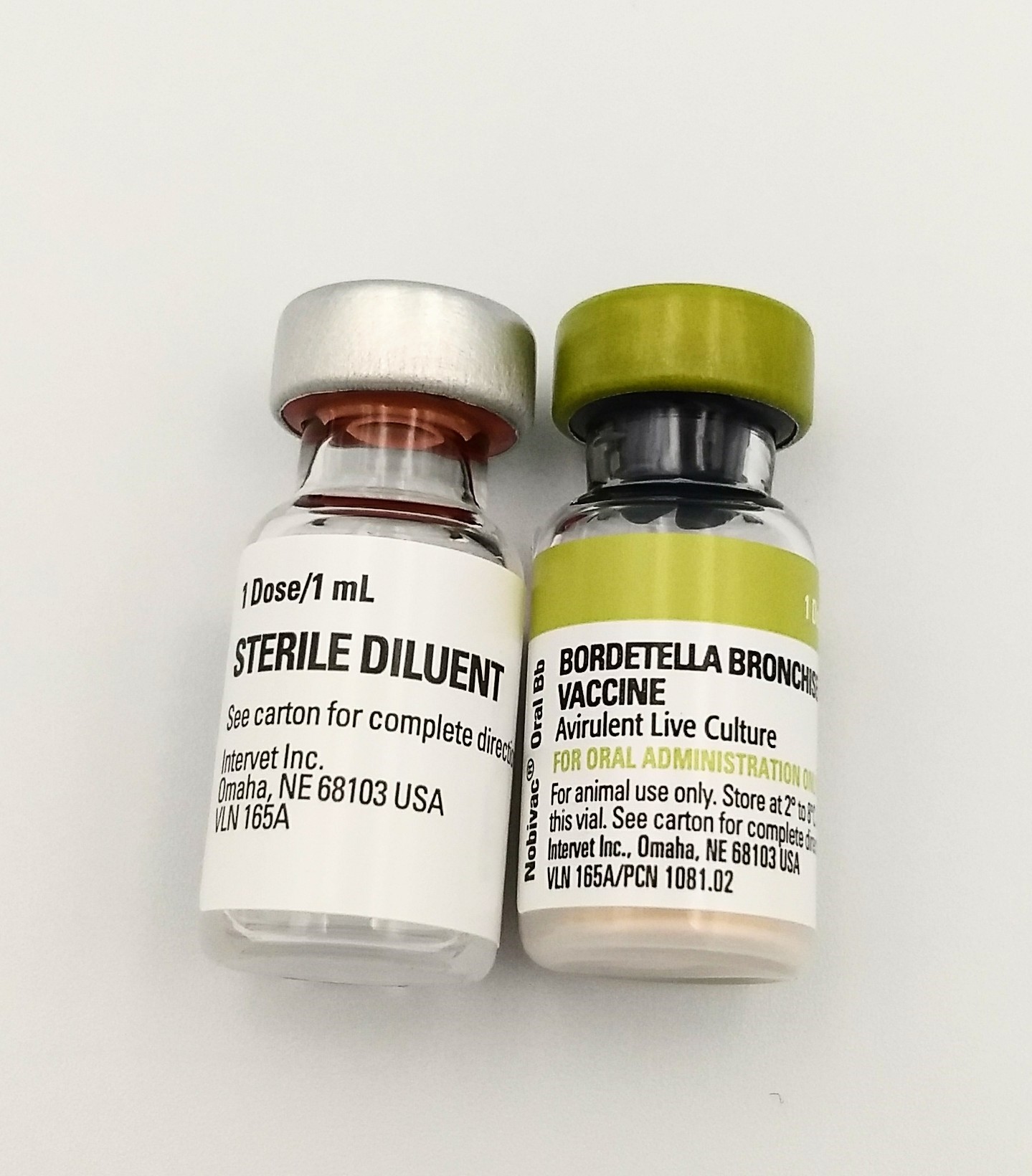 Kennel Jec 3 Bordetella 1 Dose Oral