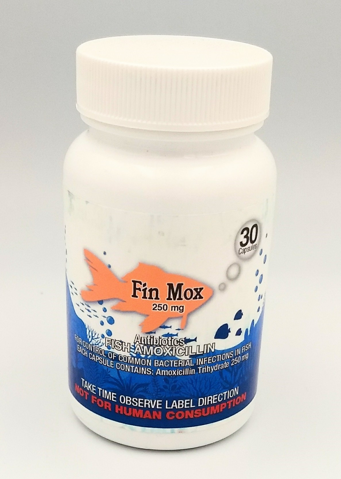 Fish Mox Amoxicillin 250 MG 30 Count