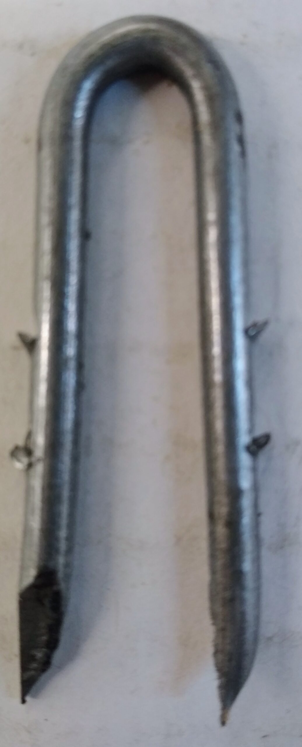 Barbed Staples 1 1/2