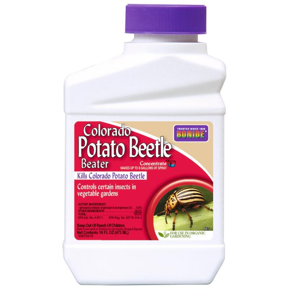 Colorada Potato Beetle Beater Pint