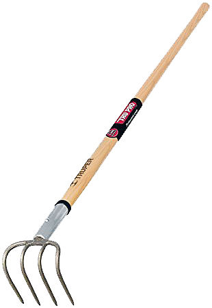 Forks