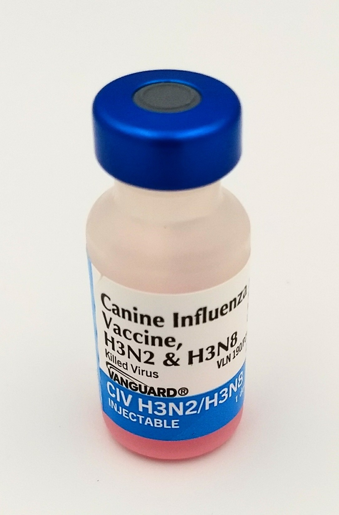 Canine Influenza Vaccine CIV H3N2/H3N8