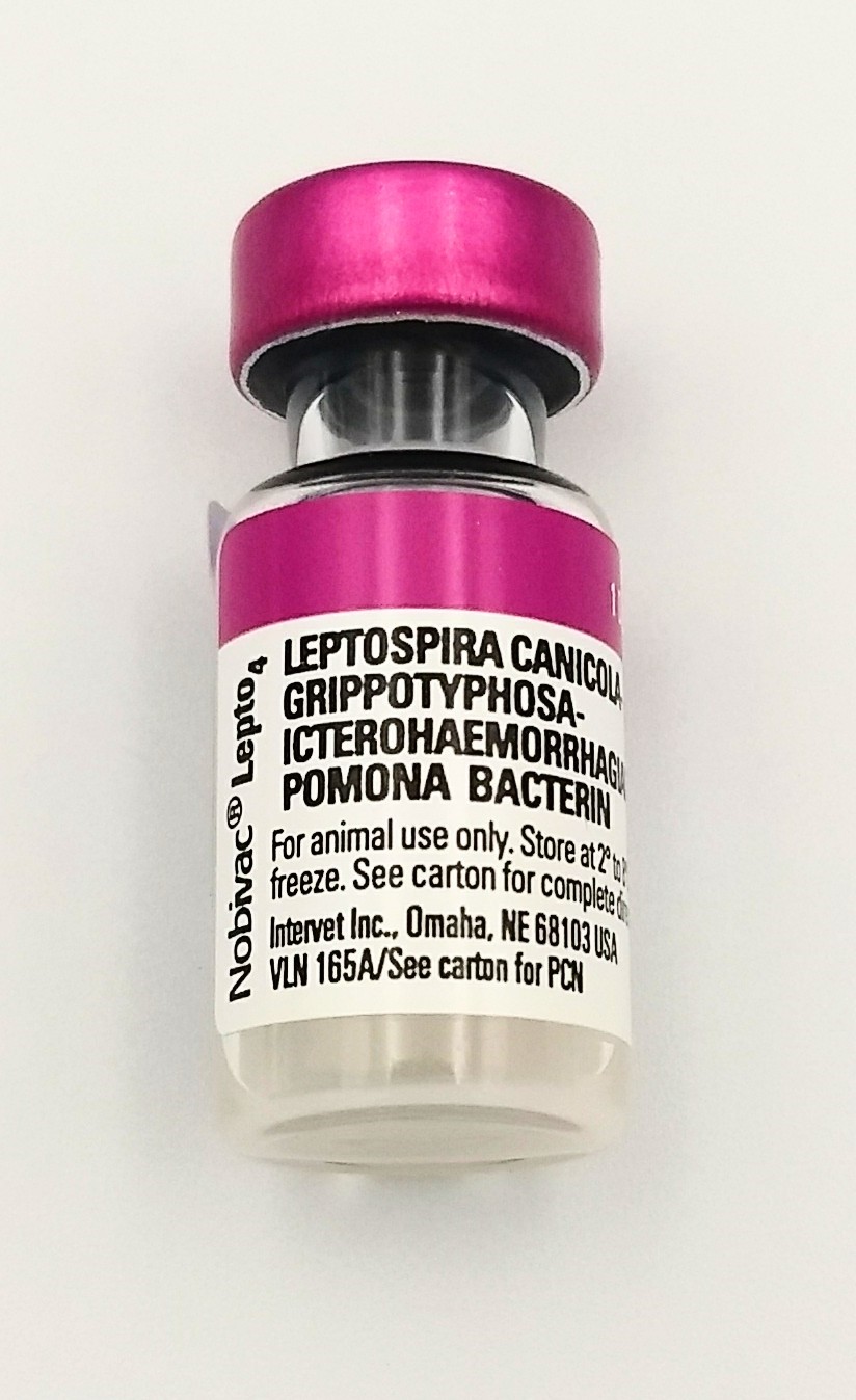 Nobivac Lepto 4 Vaccine No Syringe