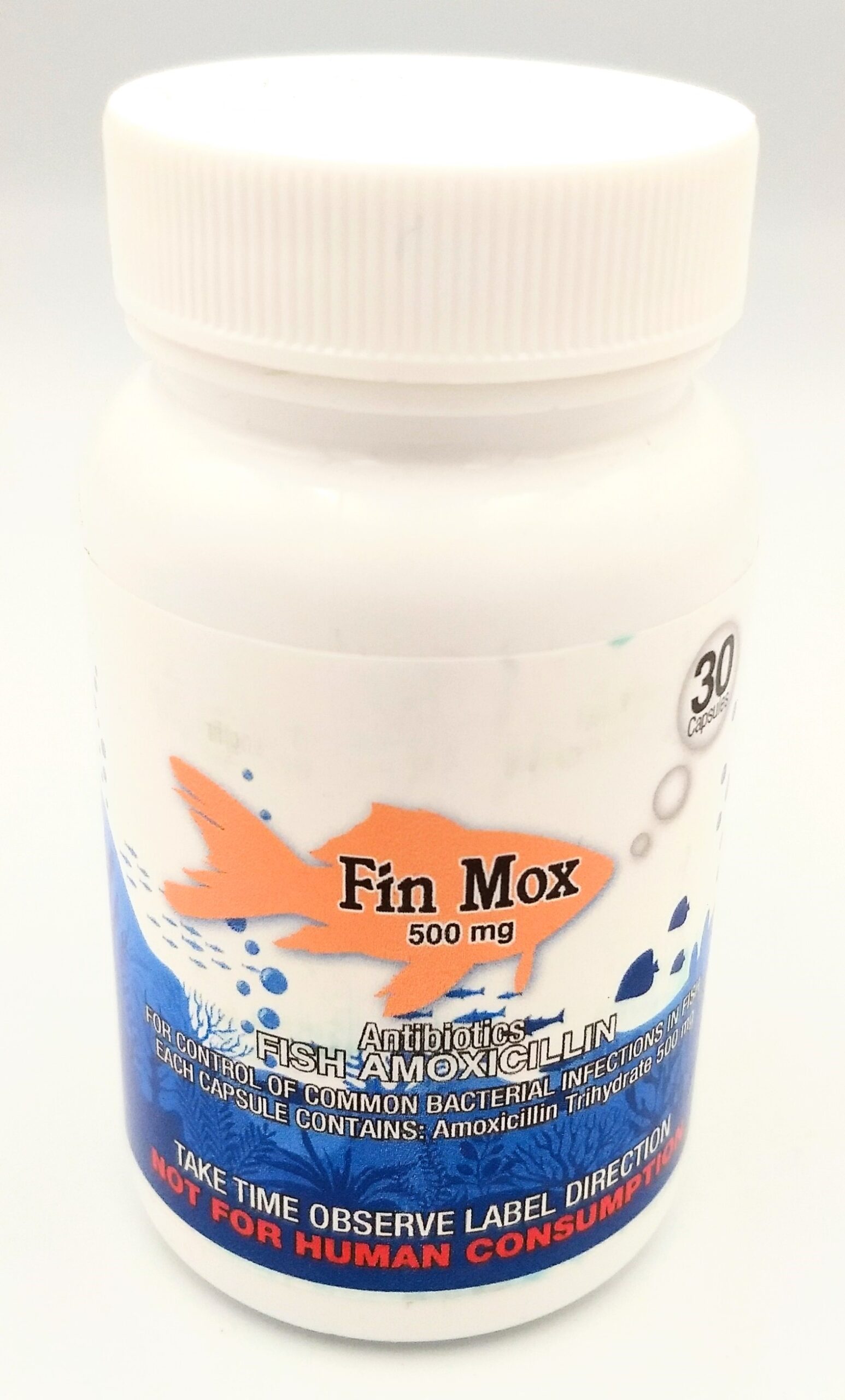 Fish Mox Forte Amoxicillin 500MG 30CT