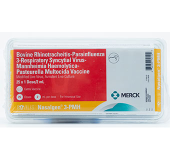 Bovilis Naslgen 3-PMH 1 DOSE