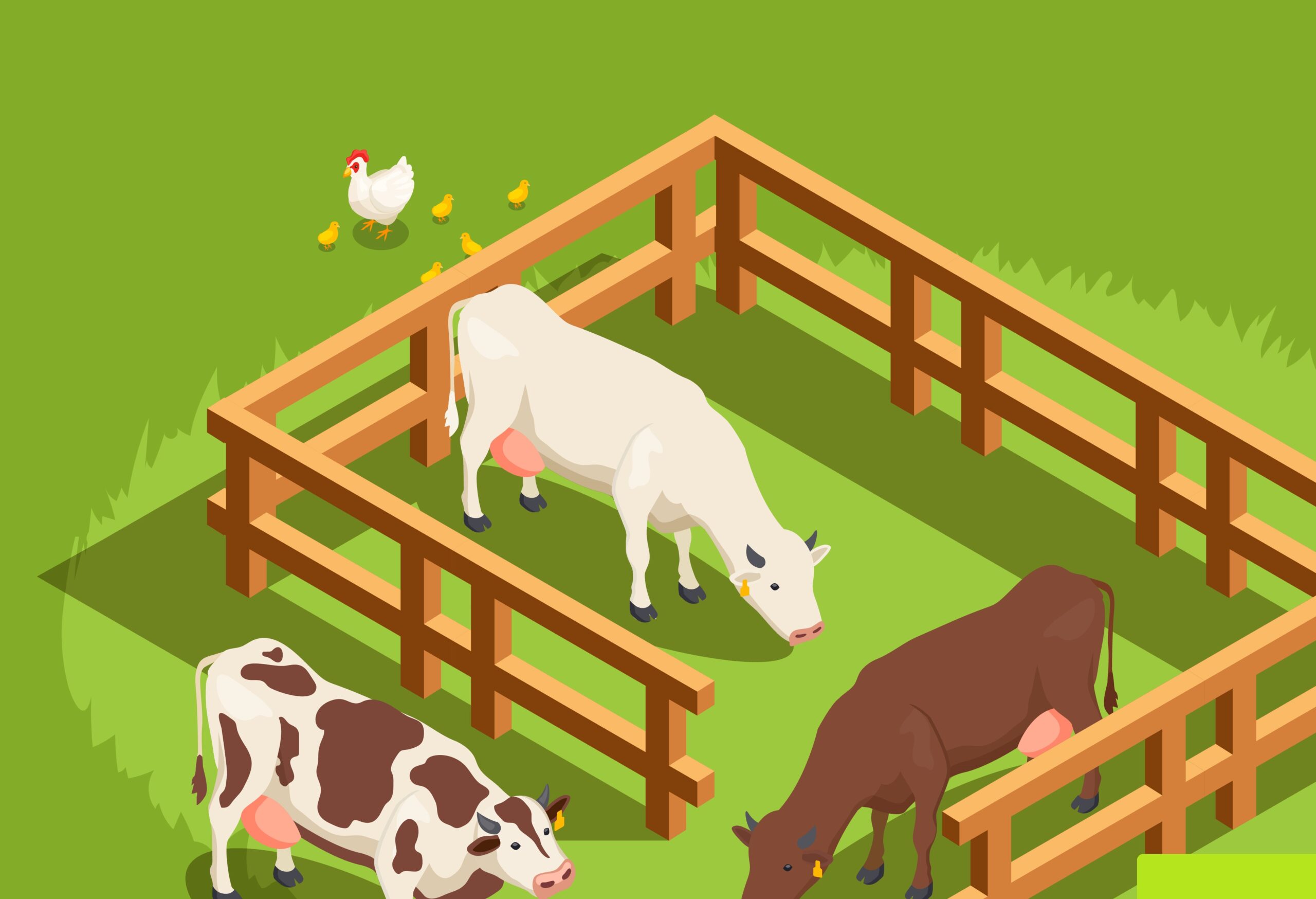 Cattle Panels vs. Traditional Fencing: Which Is Right for Your Farm?