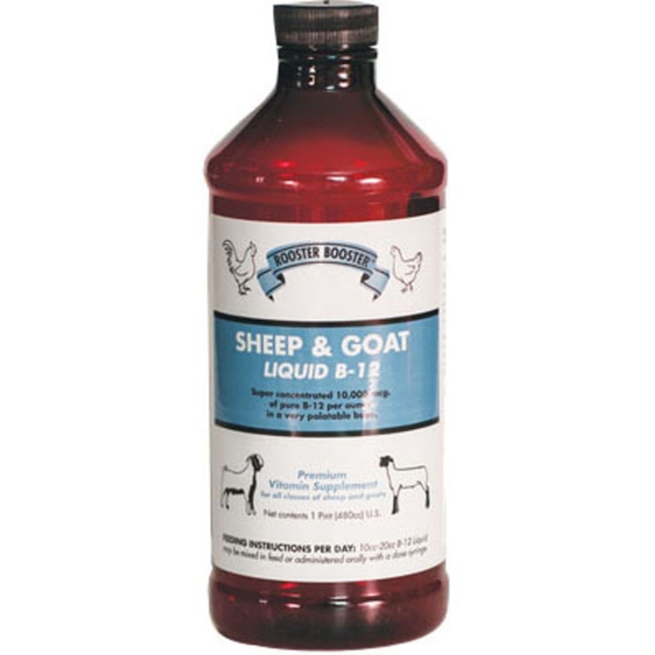 Sheep And Goat Liquid B12 16 Oz