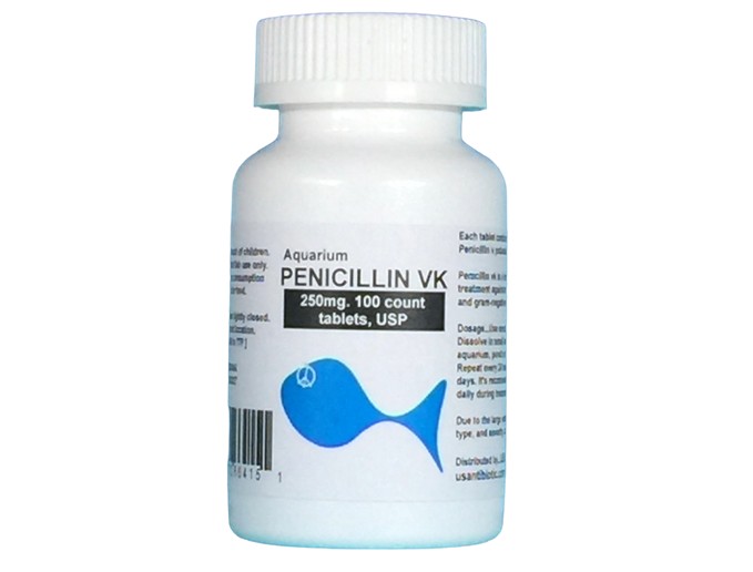 Fish Penicillin Tablets 250 MG 100 CT - Huber's Animal Health